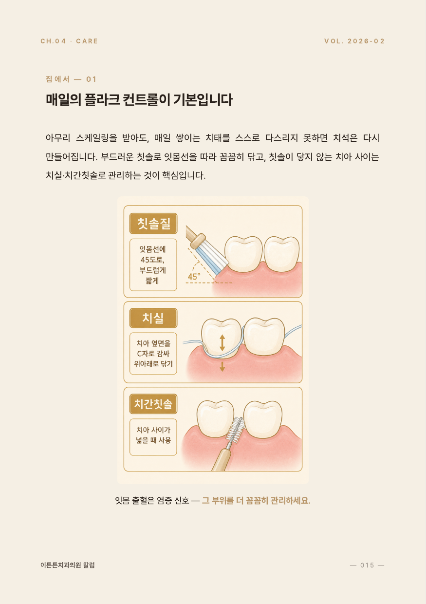 15면 매일의 플라크 컨트롤이 기본